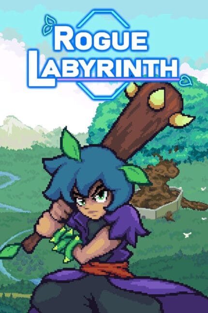 Rogue Labyrinth PC